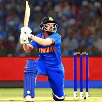 Cricket World Cup Game